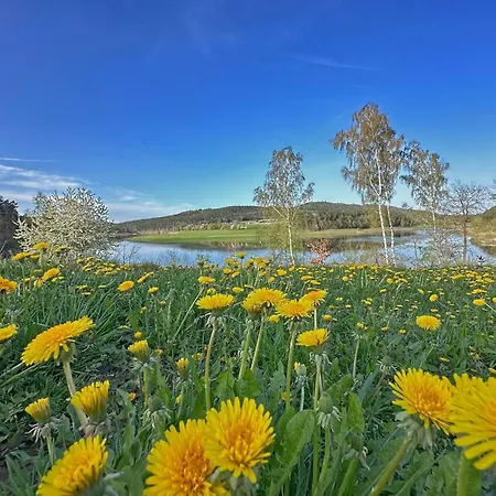 Seeblick - Premium Tinyhouse Mit Sauna Und Hottub Casa vacanze *